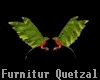 [8Q] Quetzal Birds