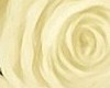 wall art 125