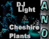 DJ Light Cheshire Plants