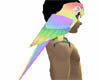 rainbowparrot