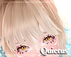 Latte Bangs | Q