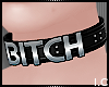 IC| Bitchy Collar