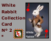 white rabbit card nº 2