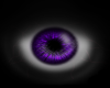 {RKL}F>Purple Eye