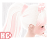 Ko ll Hair Big Tail BP