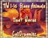 HW 1-16 Glass Animals