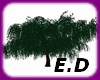 E.D TREE FOREST