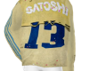 13ski