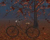 ~CB Fall Bike/poses