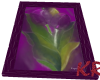 *KR-Tulip Picture