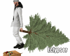 the Perfect Tree