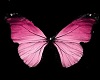 Butterfly Ore HP