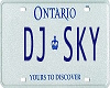 Dj Sky Licence
