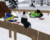 snow mobile racetrack