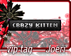 j| Crazy Kitten