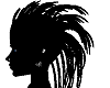 .K. Quill-Hair-Shadow