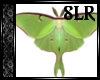 [SLR] Luna Moth Flying