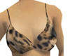 Kitten Leopard BikiniTop