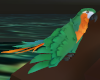 Animated Parrot