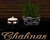 Cha`Modern Plant&Candles