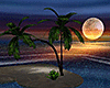 Moon Glow Island
