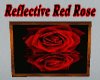 Reflective Red Rose