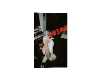𝑭 ★ Lovers