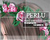 [P]DuL Hair Flowers
