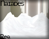 N| Shoveled Snow