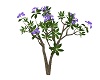 180  Plant  Purple