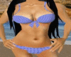 $Beach Bunny Blue Bikini