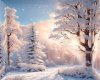 Pink Winter Morning Bg