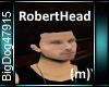 [BD]RobertHead (m)