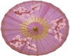 [ML]Oriental Umbrella 