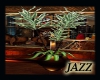 Jazzie-Potted Tropical