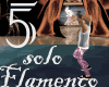 Flamenco solo 5 - dance