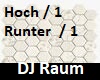 DJ Raum