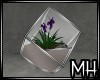 [MH] DMM Plant in Glass 