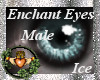 ~QI~ Enchant Eyes I M