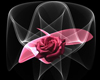 Beautiful Rose forblack2