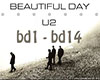 *RF*U2-BeautifulDay