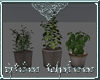 [A] Herb Trio