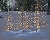 Christmas lighted trees
