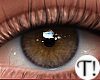 T! Beauty Eyes 17