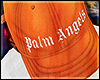 M | Palm Angels SB