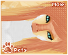 [Pets] Siravi | hair v1