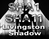 Livingston - Shadow