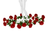 AK X CEO 21 ROSES