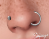 S. Nose Piercings Silver