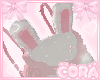 ♡ Bunny Bag ♡